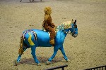 Quadrille - 00456